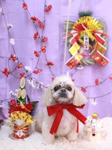 20230122マメちゃん